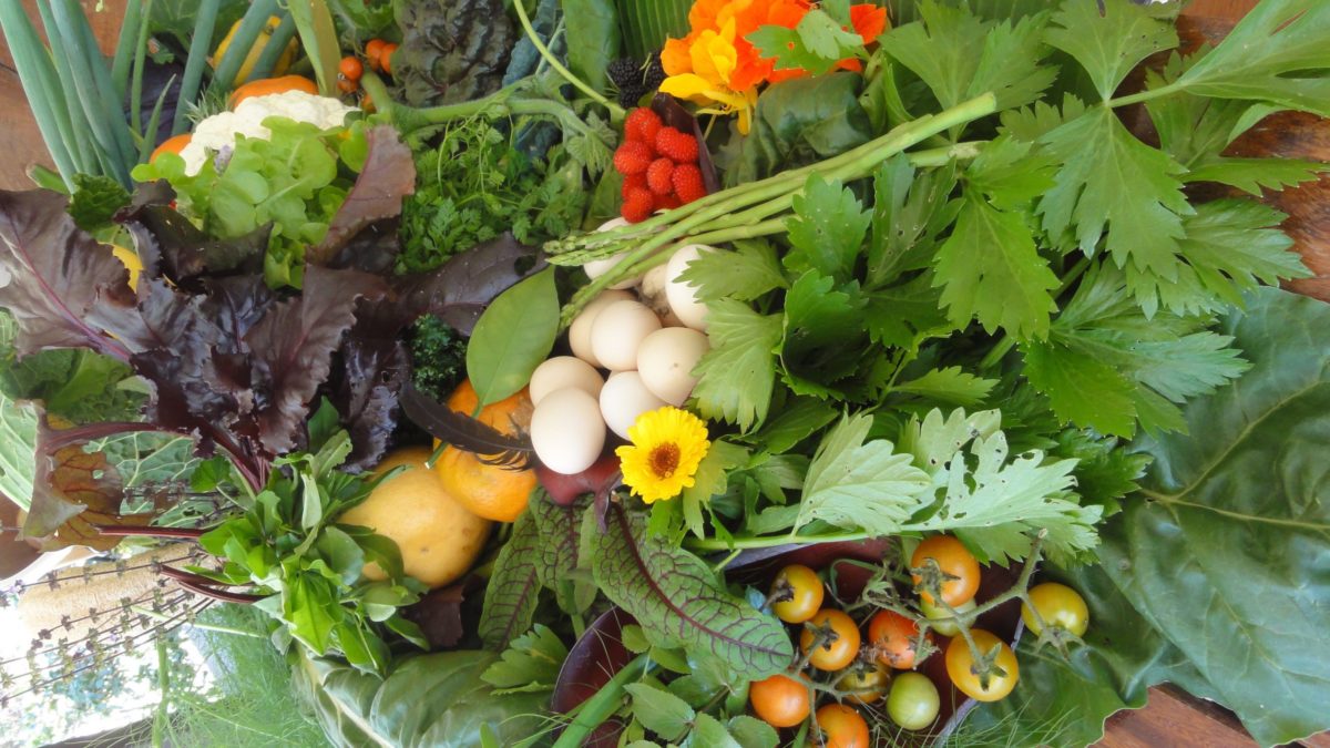 Is Growing And Eating Organic Food Enough?
