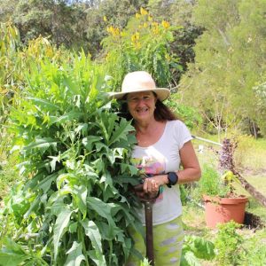 Garden Coaching Consulting