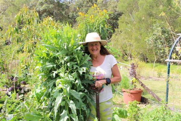 Garden Coaching Consulting